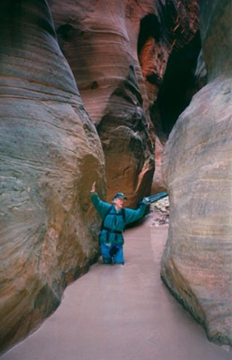 Bill Atkinson at Work