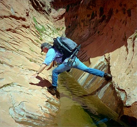 Bill Atkinson at Work