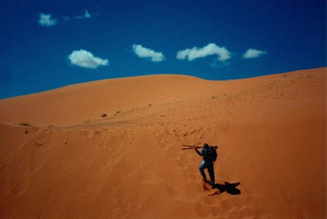 Bill Atkinson at Work