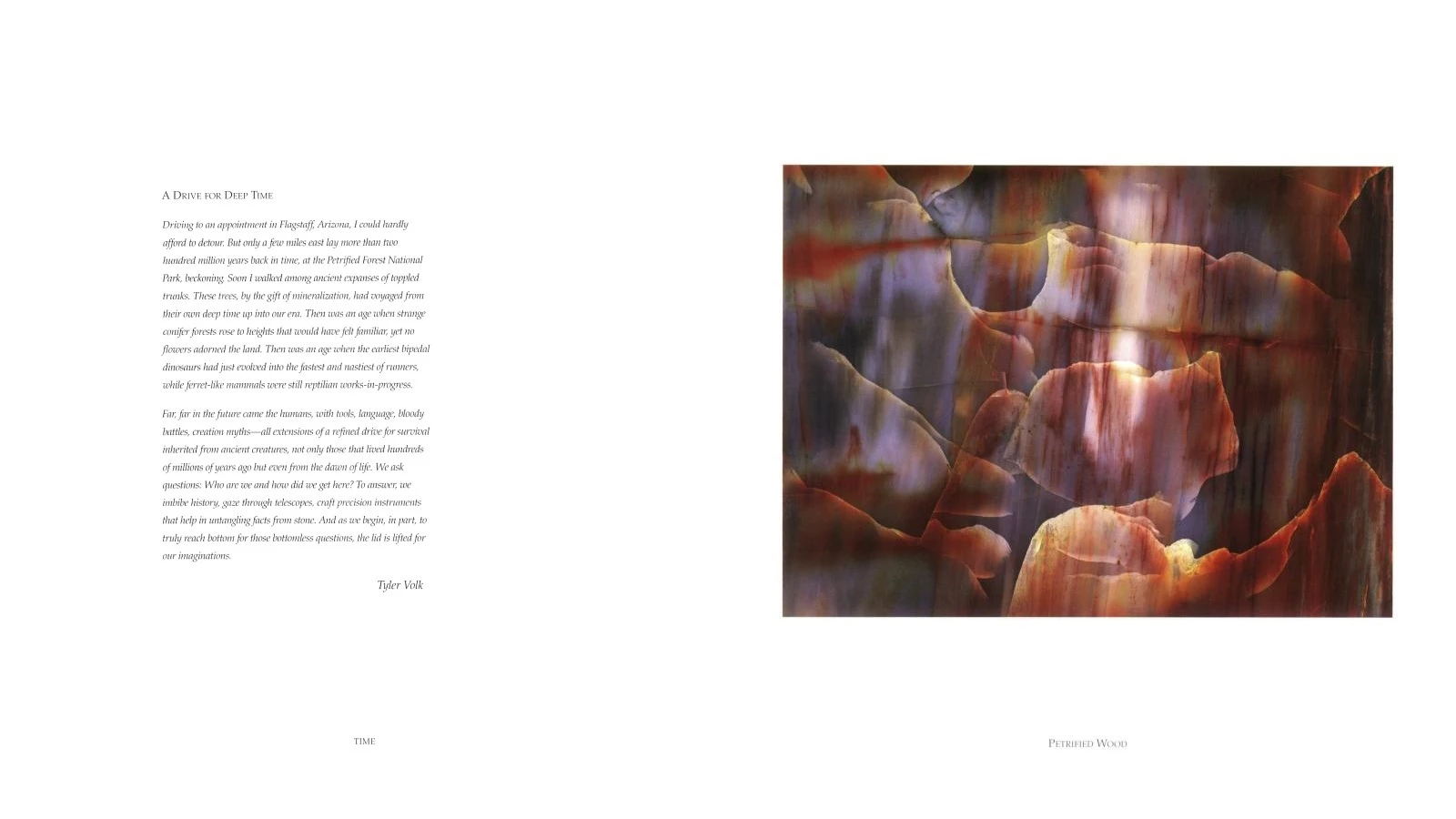 Within the Stone sample